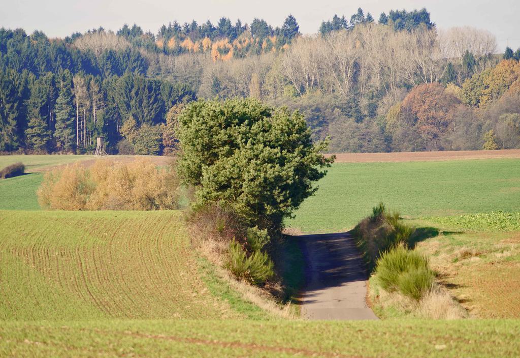 Saarlandtraum Weihermuehle Schmelz Zewnętrze zdjęcie